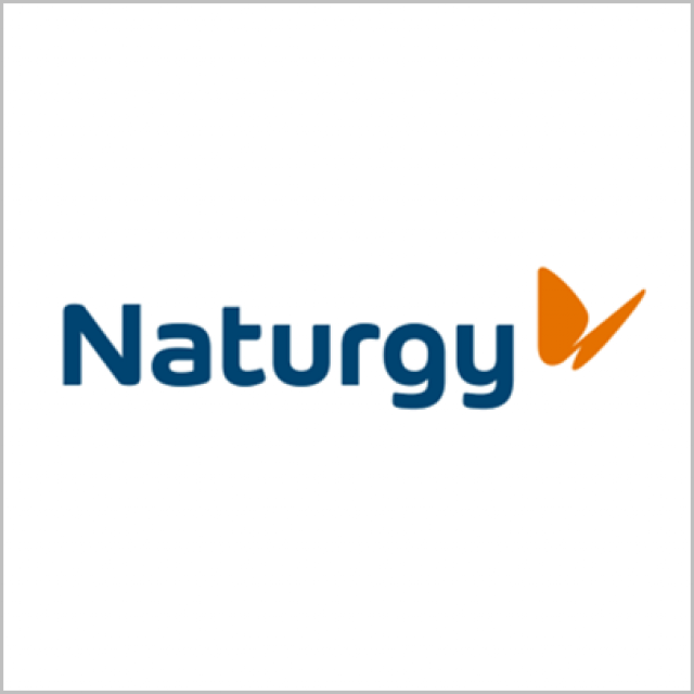 Naturgy