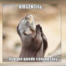 “Virgencita… Virgencita”: Generación Baby Boomer